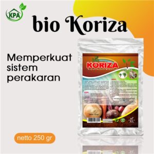 BIO KORIZA - PEMBESAR UMBI PADA TANAMAN