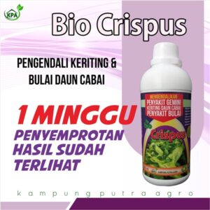 BIO CRISPUS - PENGENDALI DAUN KRITING ,GEMINI DAN PUCAT PADA DAUN