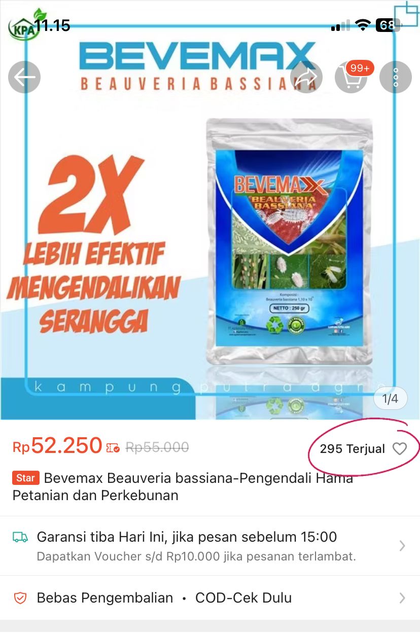 Gambar WhatsApp 2025-06-04 pukul 11.26.09_8d4d4736