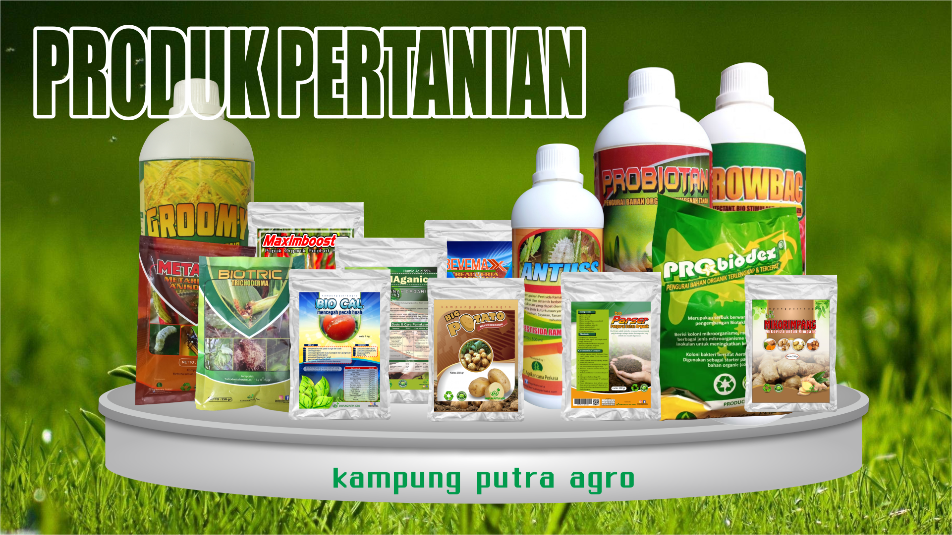 pertanian