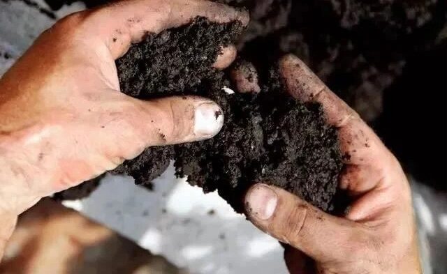 Kembalikan Kesuburan Tanah dengan Sentuhan Alami: Ini Solusi !