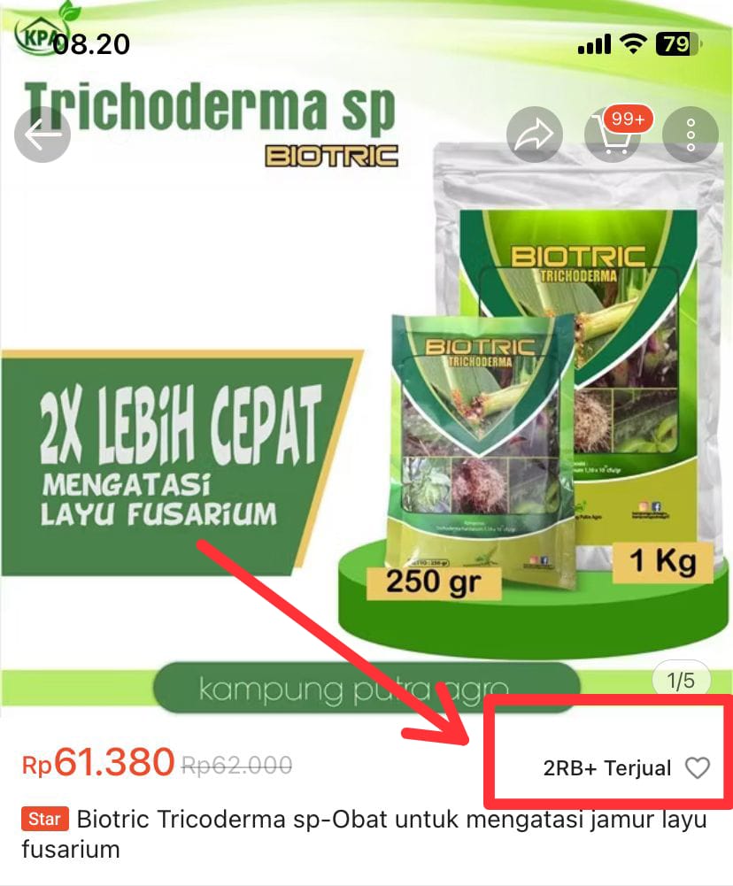 Gambar WhatsApp 2025-07-29 pukul 08.24.34_e126d92b