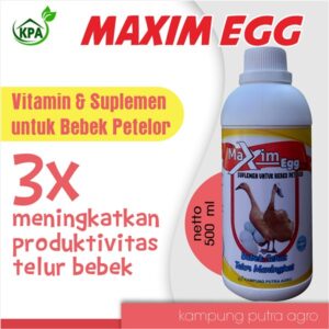 Vitamin dan Suplemen Untuk Meningkatkan Produktivitas Telur Bebek - MAXIM EGG
