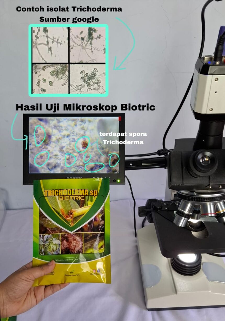 “Sudah Teruji di Mikroskop, Biotric Tricoderma Dari Kampung Putra Agro Unggul Secara Ilmiah”