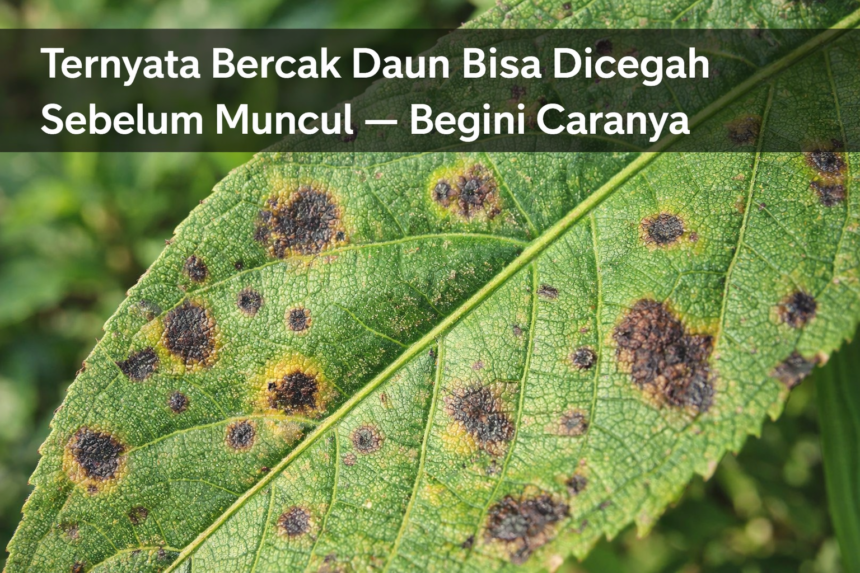 Ternyata Bercak Daun Bisa Dicegah Sebelum Muncul — Begini Caranya