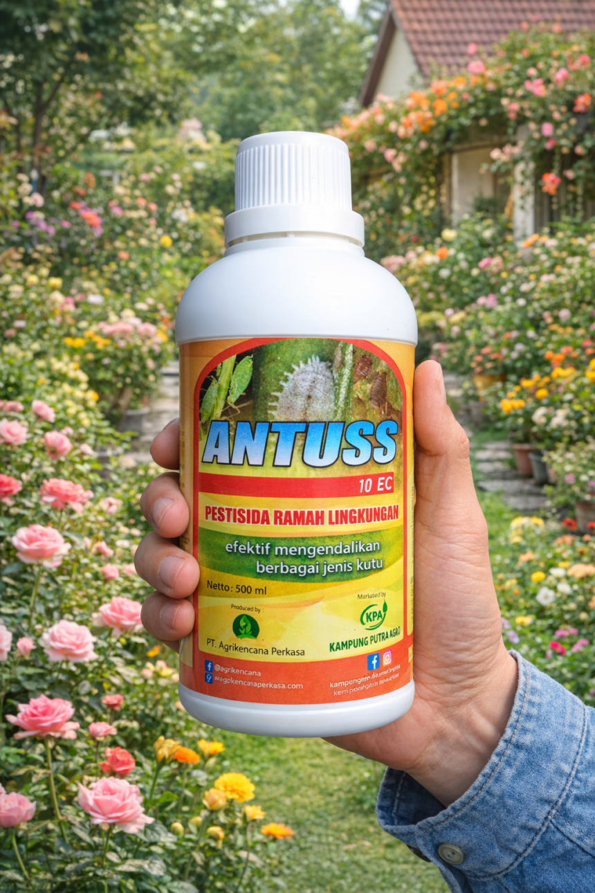 Kutu pada Tanaman Bunga: Hama Kecil yang Bisa Merusak Keindahan