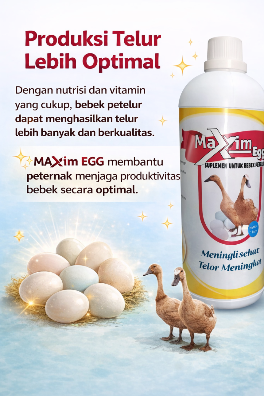 Rahasia Tersembunyi di Balik Telur Bebek yang Makin Banyak, Ternyata Ini Penyebabnya!